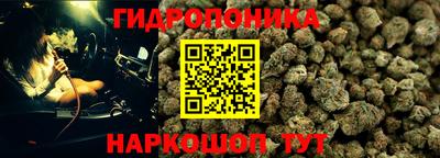прущие крисы Будённовск