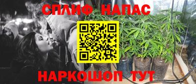 прущие крисы Будённовск