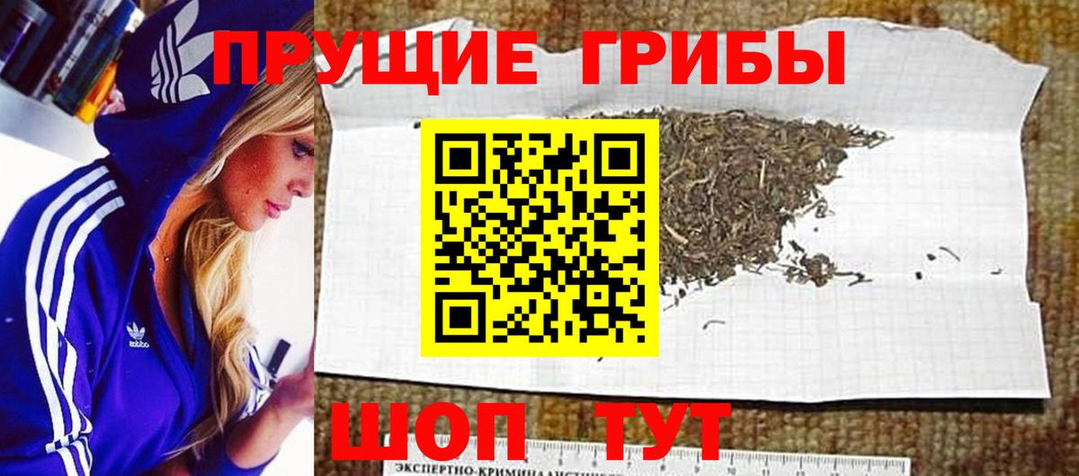Псилоцибиновые грибы Magic Shrooms  купить наркотик  Вход с VPN  Рассказово  Псилоцибиновые грибы мухоморы 